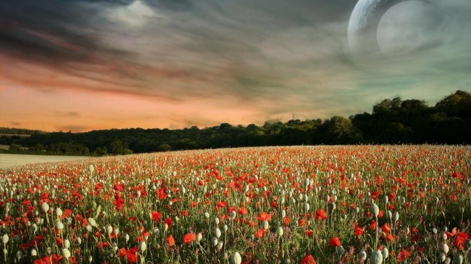 <b>PHP和Node.js哪个更爽?</b>